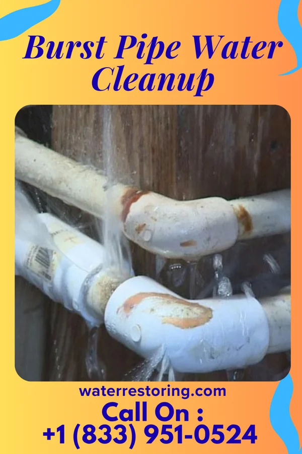 Burst Pipe Water Cleanup in Herricks, NY