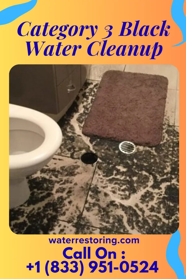 Category 3 Black Water Cleanup in Herricks, NY