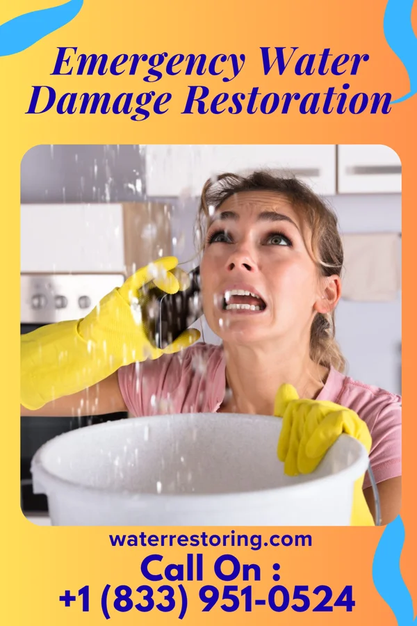 Emergency Water Damage Restoration in Herricks, NY