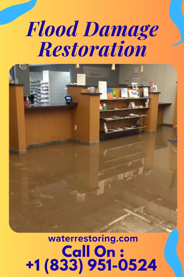 Flood Damage Restoration in Herricks, NY