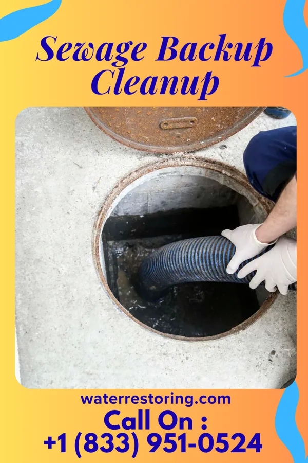Sewage Backup Cleanup in Herricks, NY