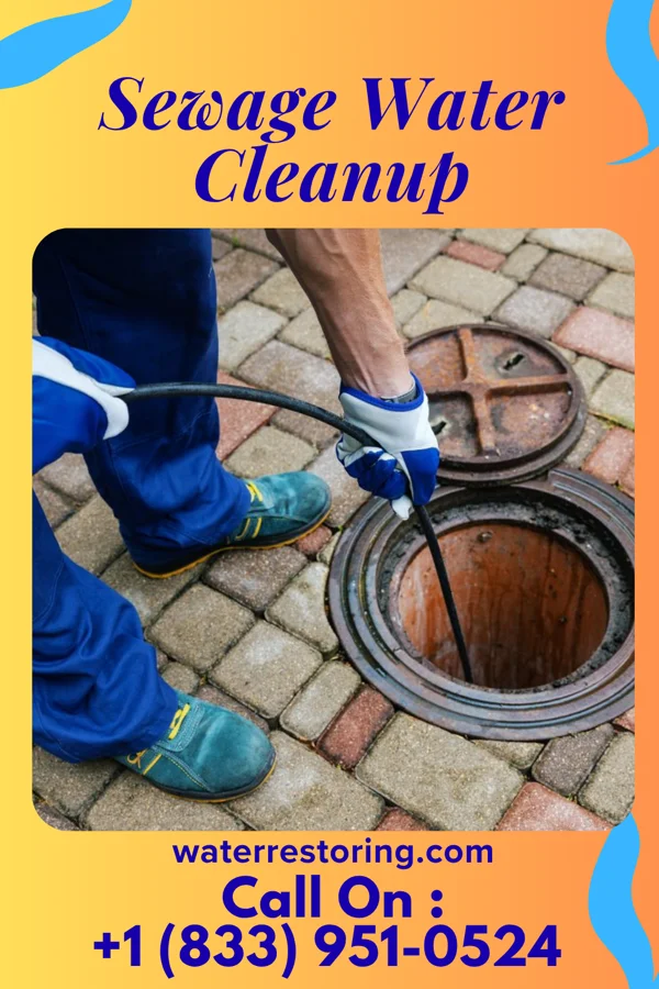 Sewage Water Cleanup in Herricks, NY